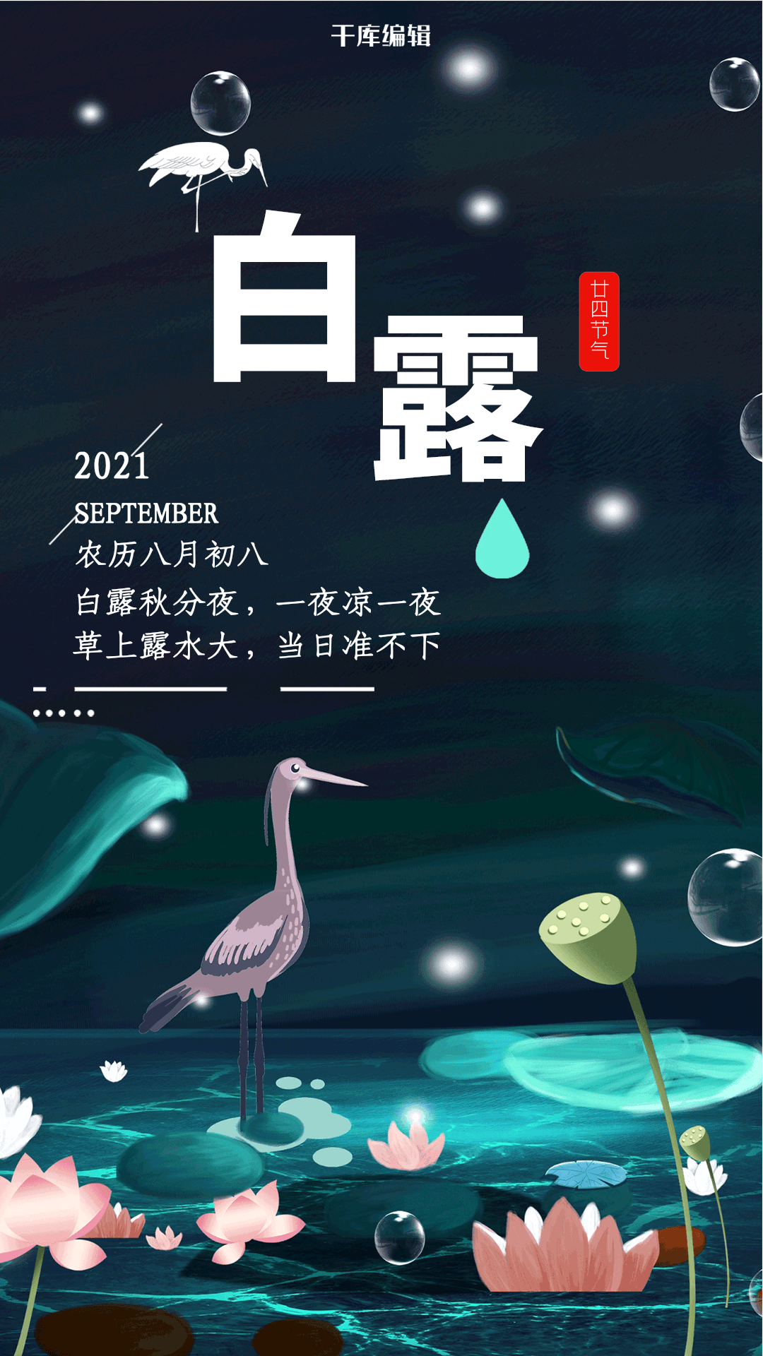 二十四节气白露清新文艺插画节气动态海报