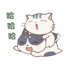 开心哈哈哈猫咪玩耍表情包动图gif