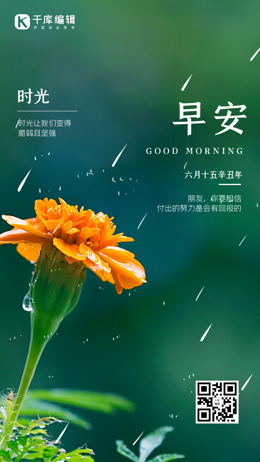 早安你好正能量问候竖版动态海报