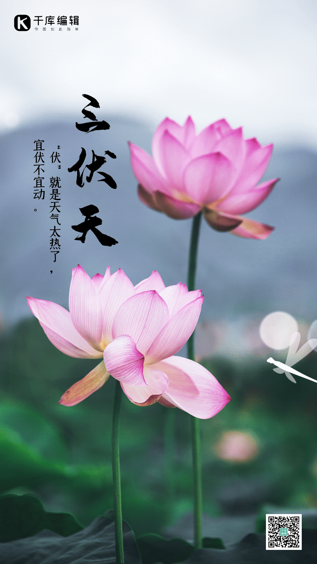 三伏天夏天夏季大暑炎热高温竖版动态海报