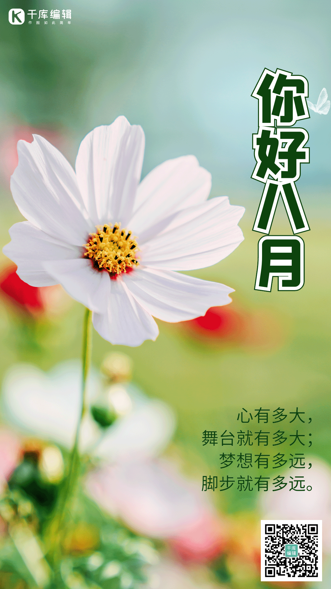 你好八月摄影图海报