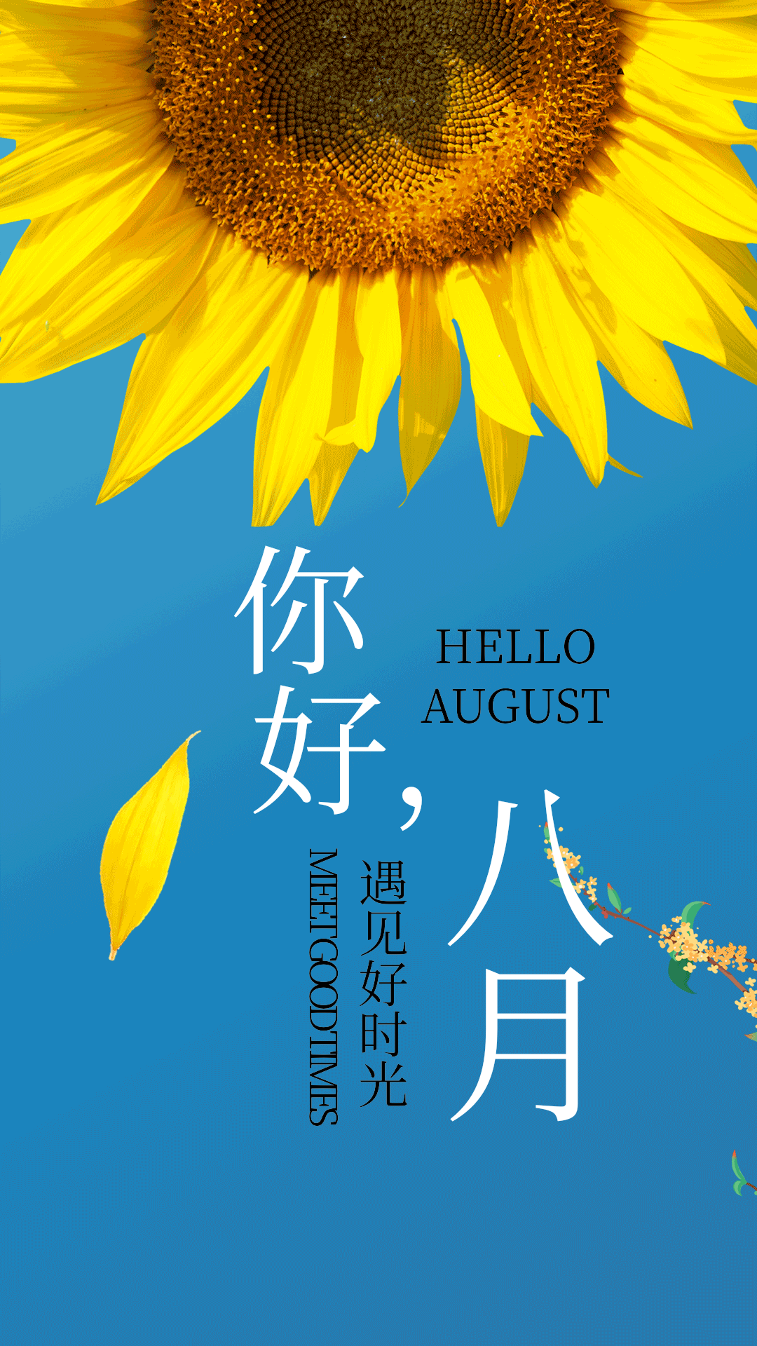 八月你好向日葵蓝色动态海报动图gif