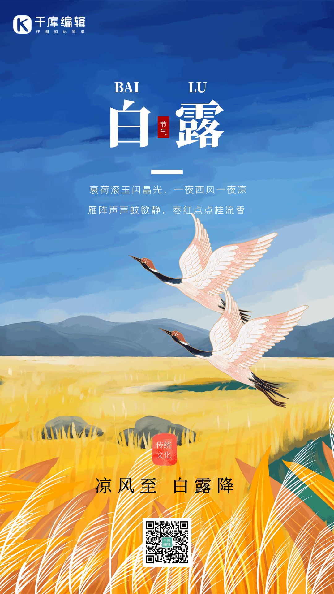 白露二十四节气露水芦苇飞鹤唯美动态海报