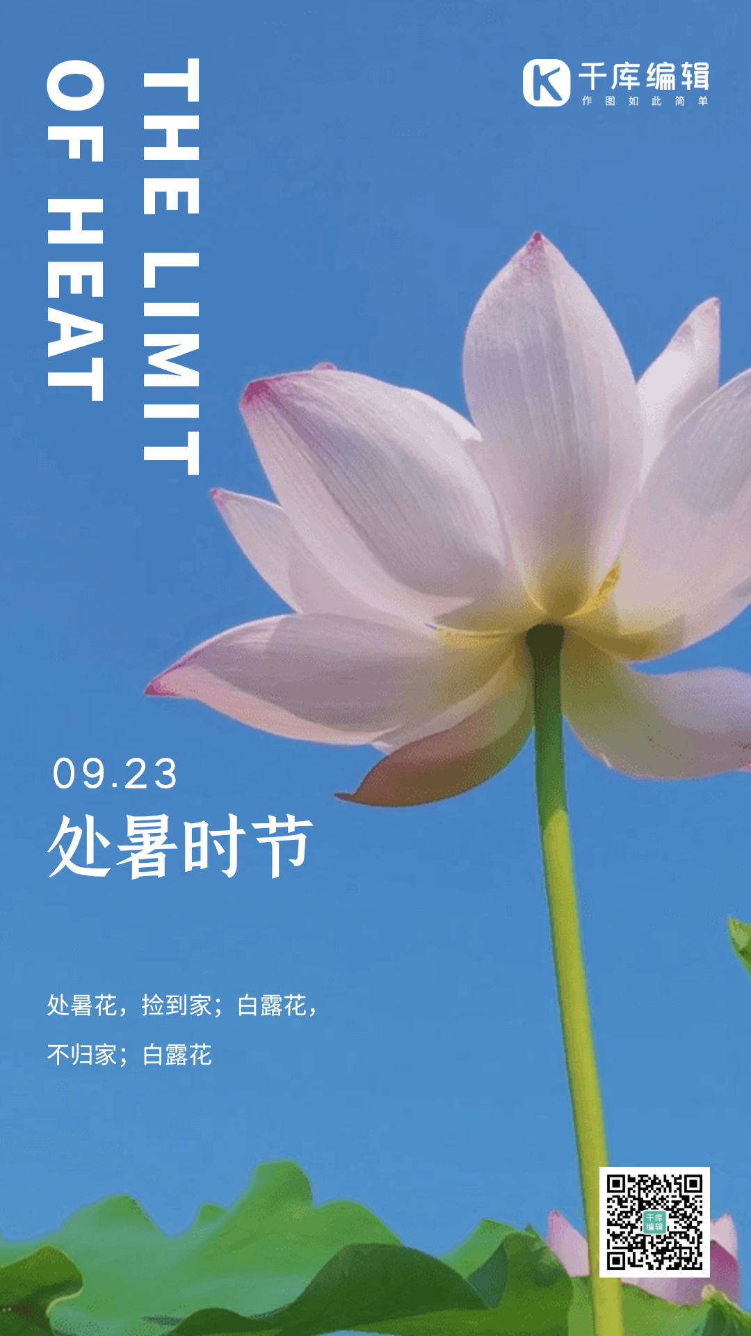 处暑荷花创意实拍合成风动态海报