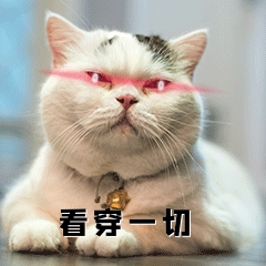 红眼特效猫咪看穿一切动态表情包