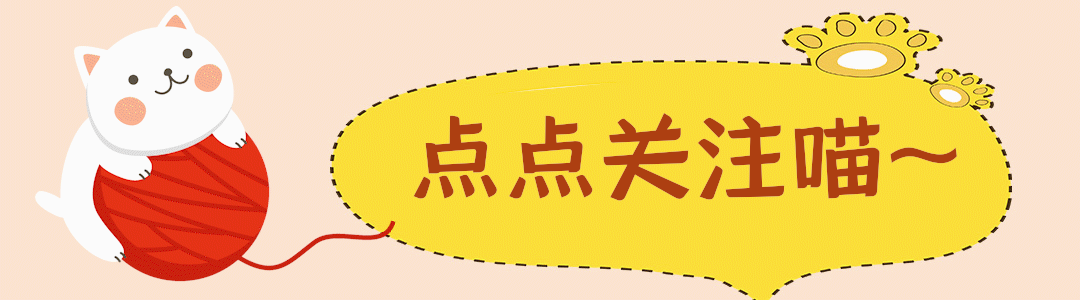 点点关注可爱卡通小猫gif动态引导关注