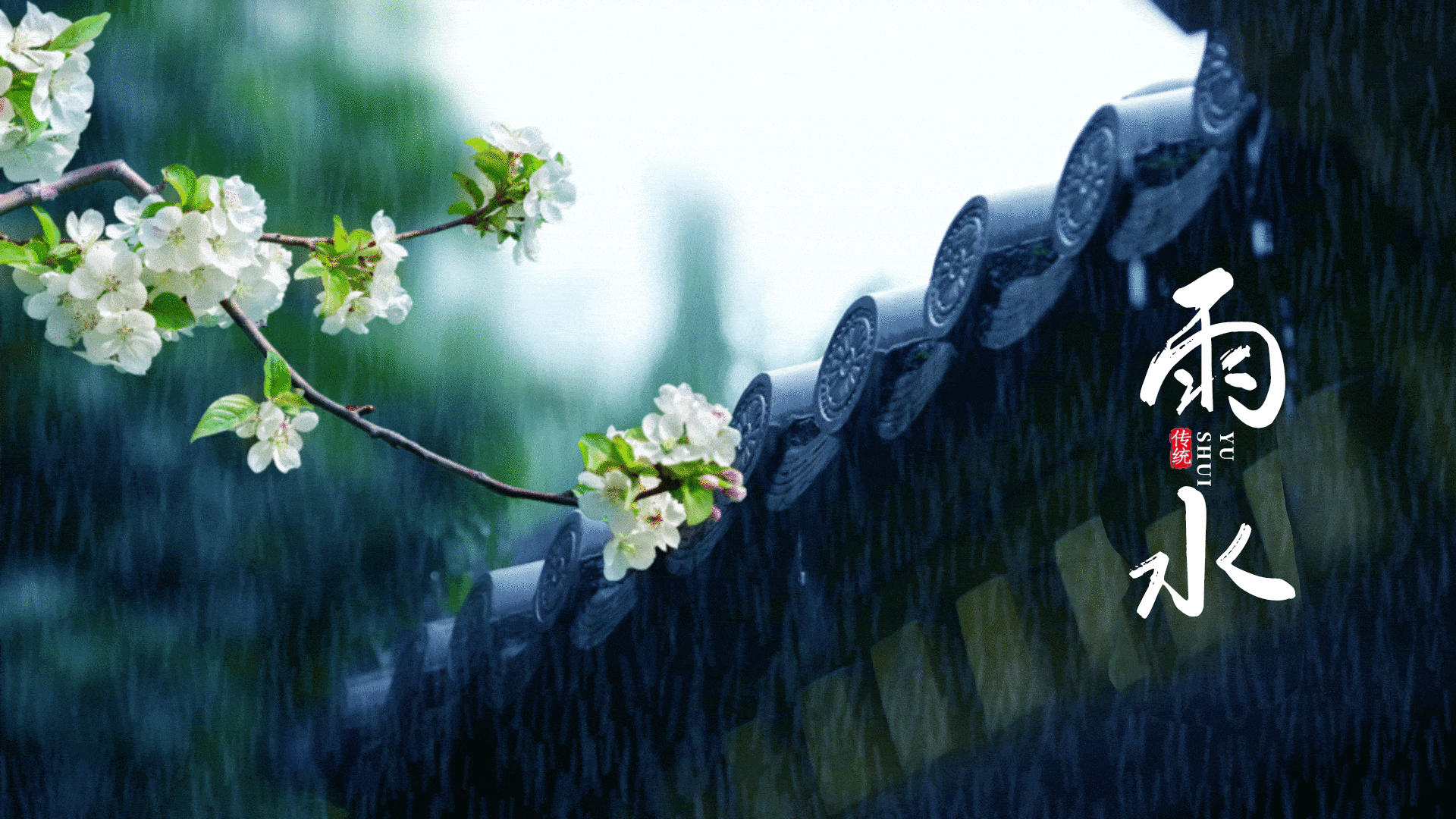 屋檐花枝实景雨水二十四节气下雨动图