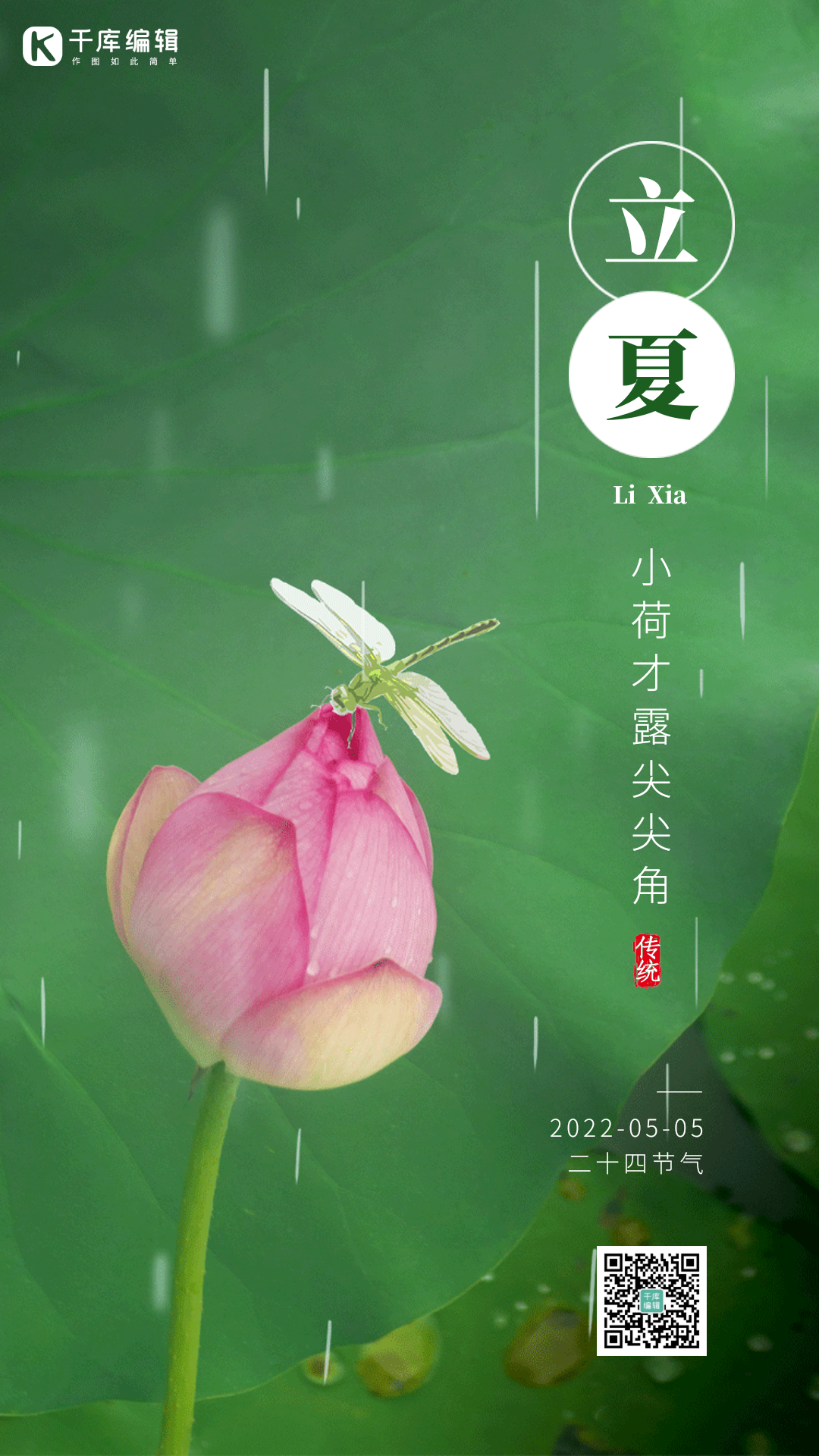 立夏二十四节气荷花下雨蜻蜓动态海报