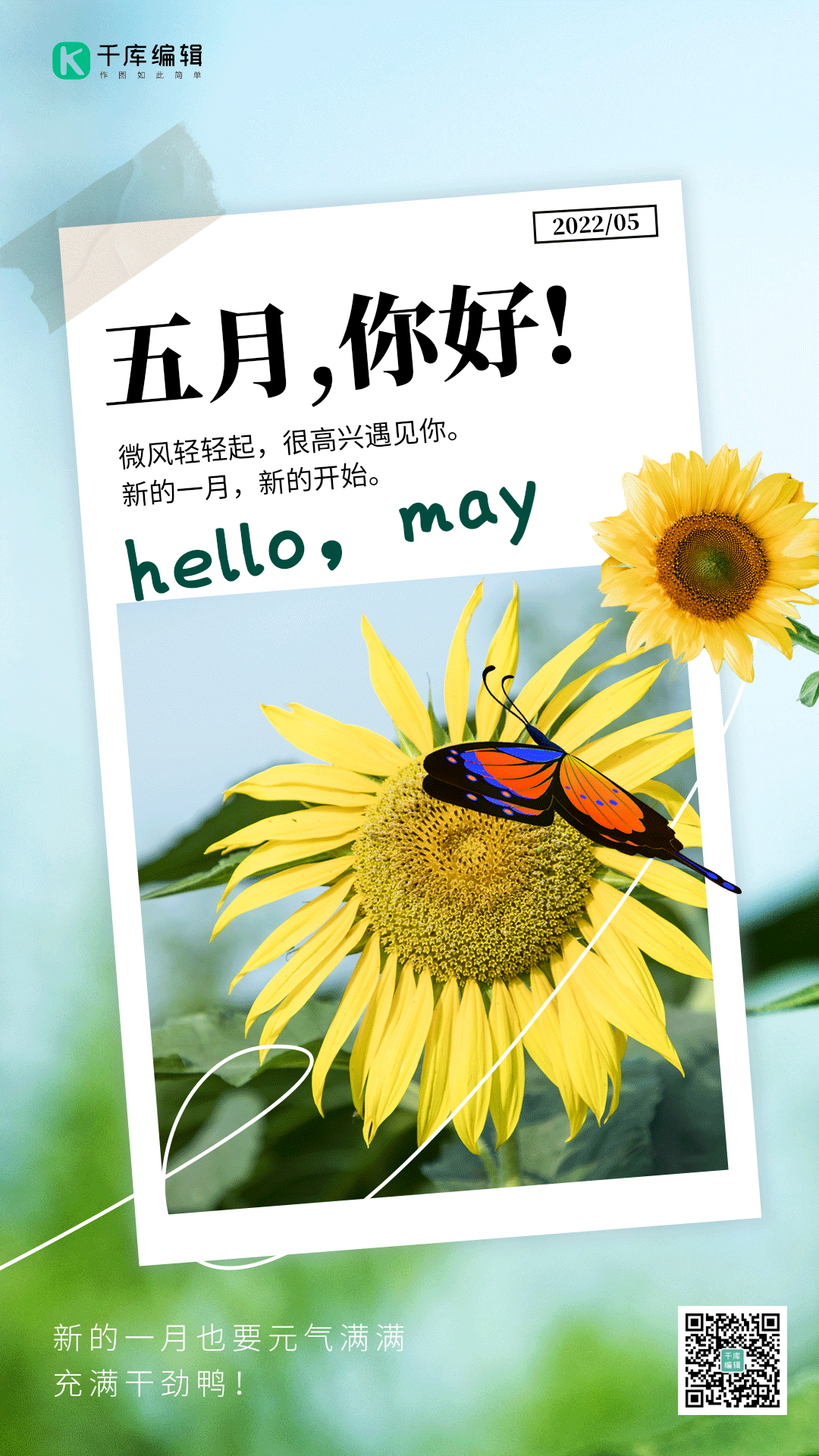 你好五月蝴蝶花开问候正能量动态海报
