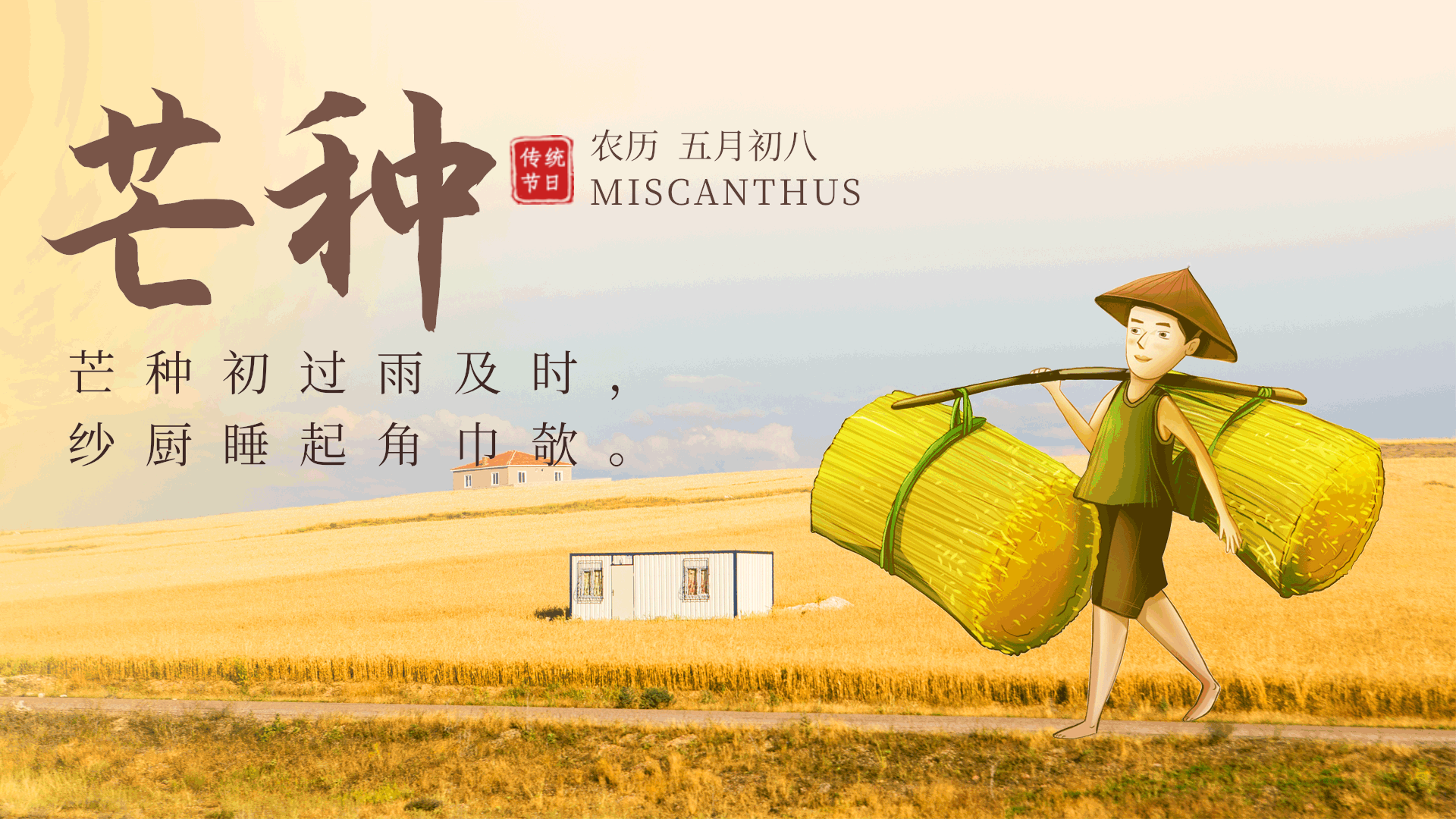 芒种二十四节气农民挑麦子丰收动态海报