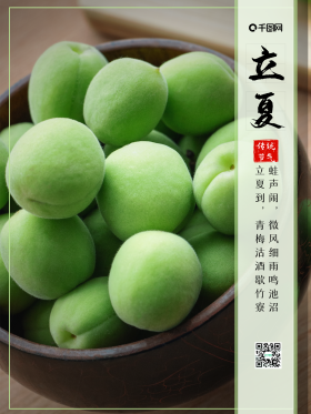 立夏青梅绿色简约传统节气节日宣传海报