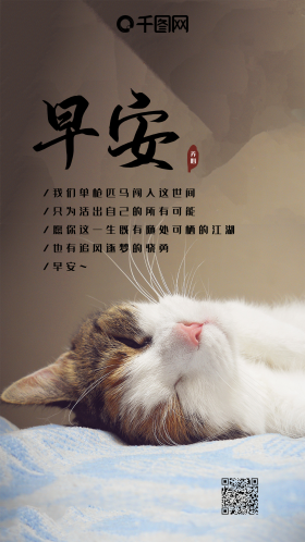早安你好猫咪文艺问候心语心情手机海报