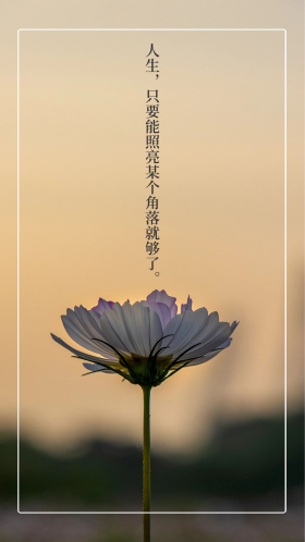 早安心情心语照亮人生高清手机海报背景