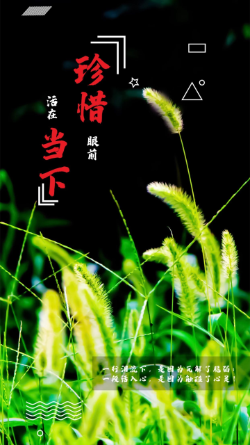 珍惜眼前活在当下简约手机用图