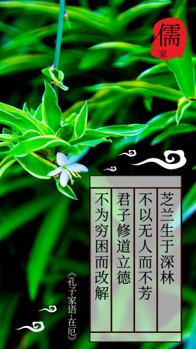 儒家思想君子如兰空谷幽香简约手机用图