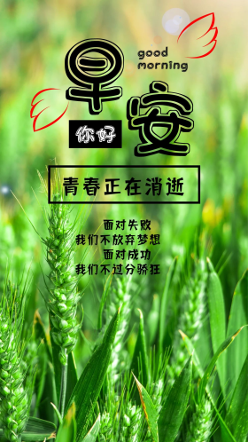 绿色早安励志心语心情手机配图