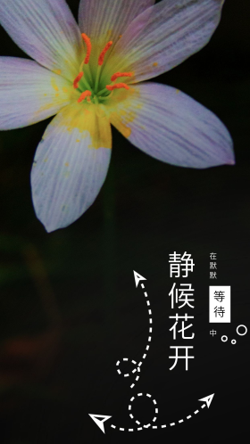 静静等待图片素材-静静等待模板在线设计制作-千库编辑