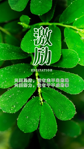 激励绿色清新叶子植物