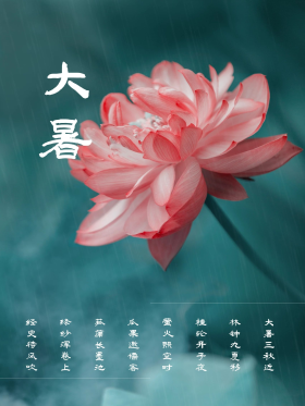 大暑传统节日二十四节气海报夏天夏季荷花