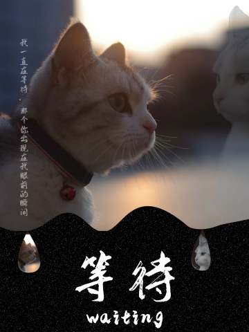 静静等待