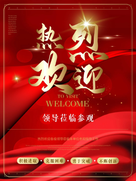 简约大气欢迎领导莅临指导海报