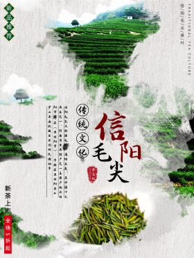 信阳毛尖茶宣传海报