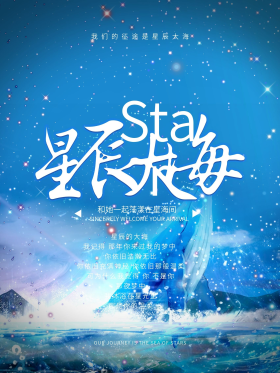 唯美浪漫夏夜星辰大海海报设计