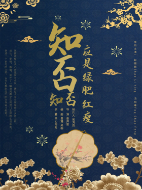 新中式知否知否应是绿肥红瘦电视剧海报