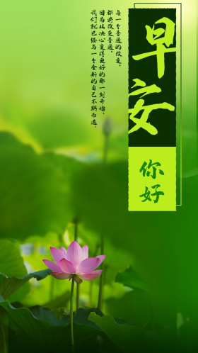 夏天荷花绿色植物励志奋斗早安你好手机海报励志简约努力奋斗黑红字体