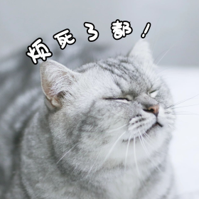 猫咪烦死了都表情包