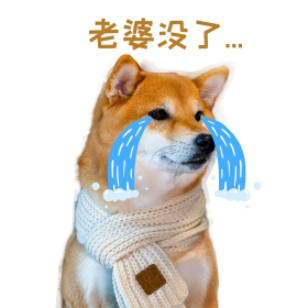 老婆没了单身狗哭泣表情包