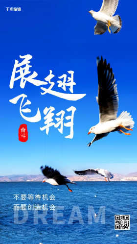 摄影图海报老鹰展翅高飞蓝色简约海报