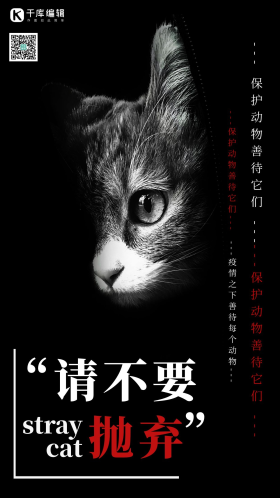 简约流浪猫保护动物海报