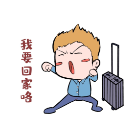 春运回家男孩表情包