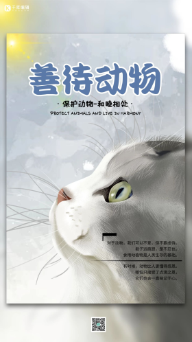 善待动物猫灰蓝色水彩风简约海报