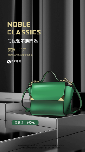 箱包女士包包黑色大气海报