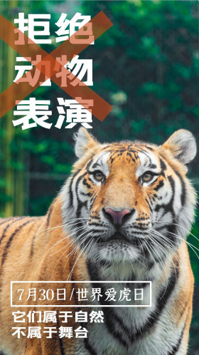 拒绝动物表演老虎绿色写实手机海报