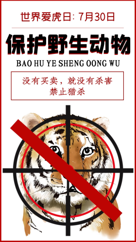 保护野生动物老虎白色简约手机海报