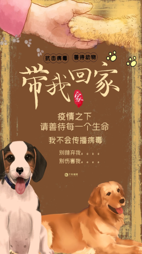 善待生命善待动物宠物动物暖色系简约海报