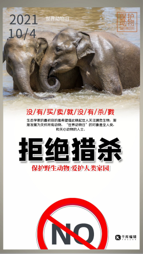 世界动物日保护动物拒绝猎杀大象