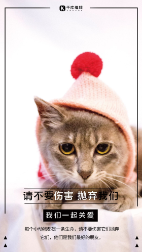 善待动物猫咪白色简约海报