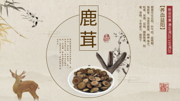 简约中国风传统中药鹿茸促销展板