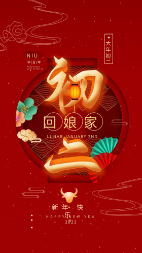 2021春节大年初二回娘家手机海报