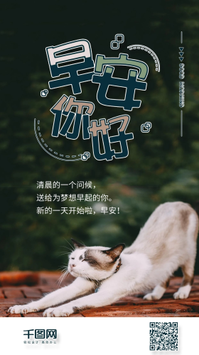 早安你好简约猫咪手机组图