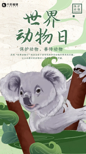 中国风世界动物日之考拉海报