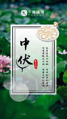 夏日绿色摄影图荷花中伏节气手机海报模板