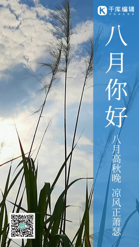 创意文艺八月你好摄影图海报