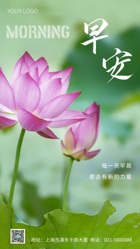 简约风荷花早安励志语录摄影图海报