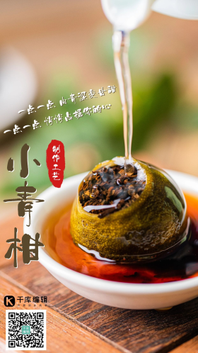 茶叶白天小青柑泡茶小青柑茶叶海报