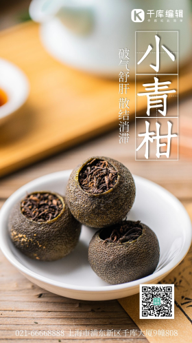 小青柑摄影图海报